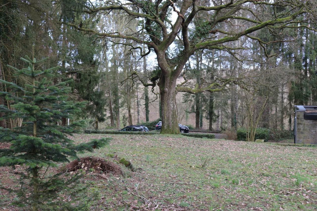 Le Portail Des Ardennes Vila Nassogne Exterior foto